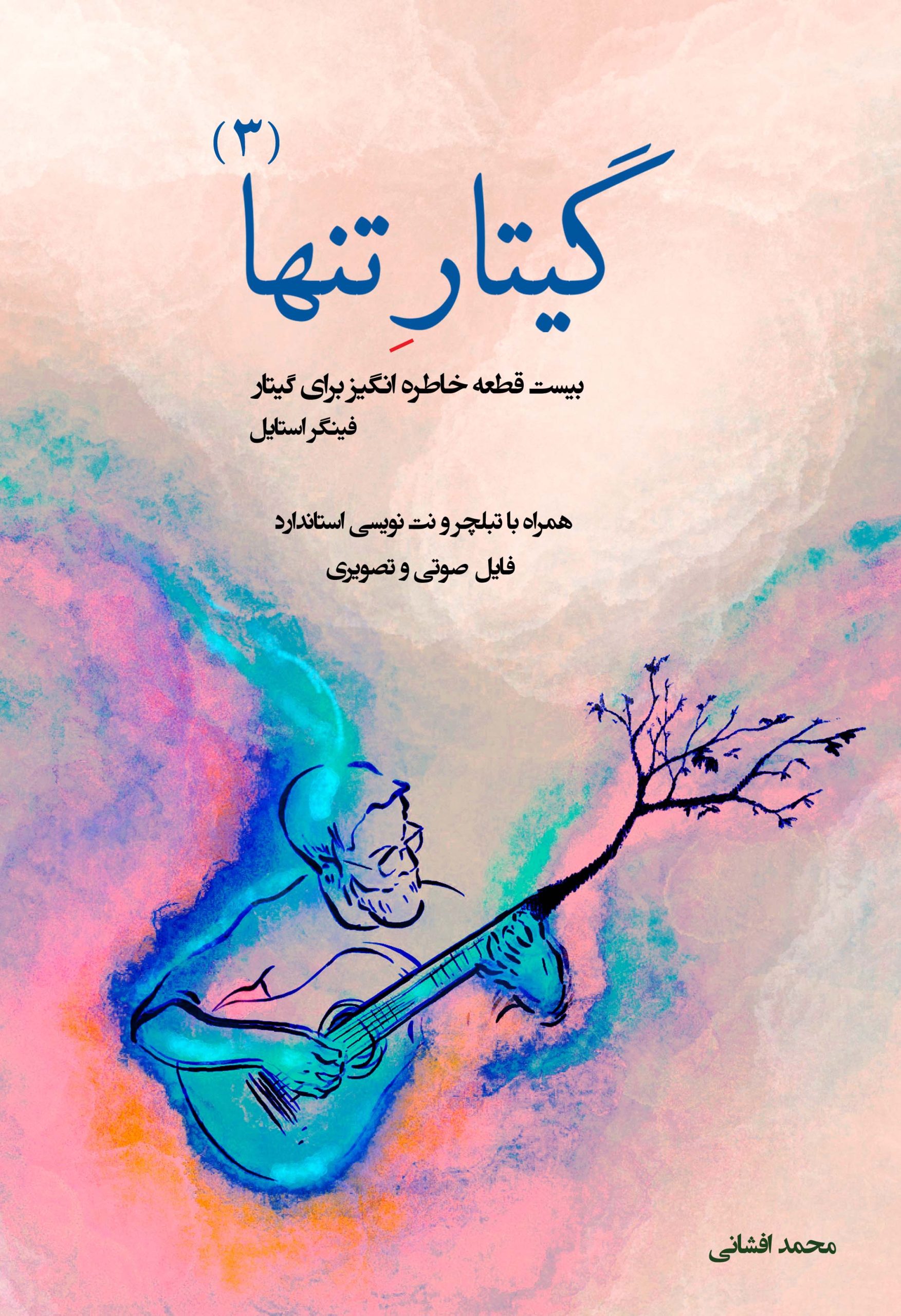 جلد گیتار تنها 3